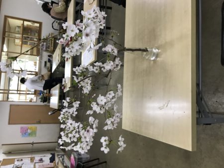 春の訪れと共に レインツリー